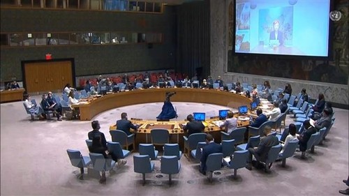 Vietnam participa en debate del Consejo de Seguridad de la ONU sobre Colombia - ảnh 1