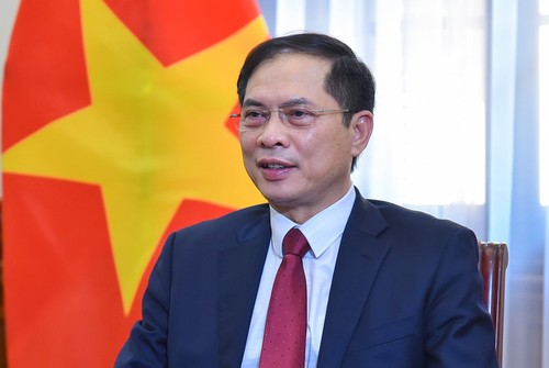 Enaltecen significado de un reciente texto del Buró Político sobre el trabajo relativo a los vietnamitas en ultramar - ảnh 1