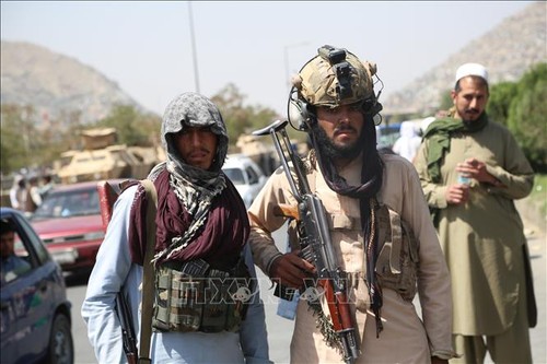 Diplomático de Afganistán pide a la ONU participar en proceso de paz - ảnh 1