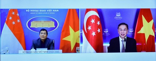 Vietnam y Singapur refuerzan la cooperación en la lucha contra el covid-19 - ảnh 1