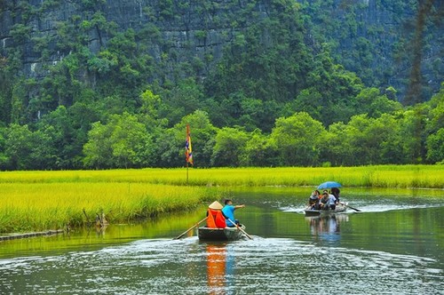 Expertos de Vietnam y Colombia abordan la gestión de actividades de ecoturismo - ảnh 1