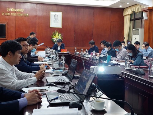 Vietnam proyecta establecer zonas de materias primas agrícolas estándar - ảnh 1
