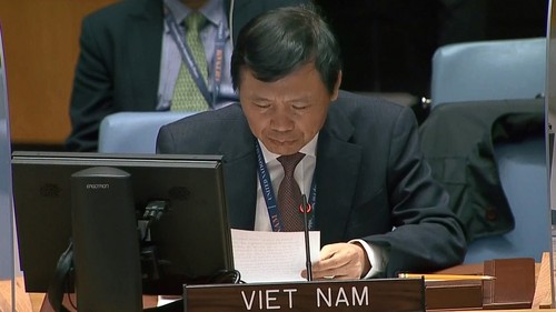Vietnam destaca la responsabilidad de los países en la lucha contra el crimen y las armas ilegales - ảnh 1