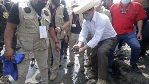 Perú declara el estado de emergencia por el derrame de petróleo - ảnh 1