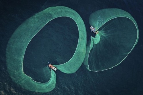 Fotógrafo vietnamita gana el premio sobre conservación marina 2022 - ảnh 1