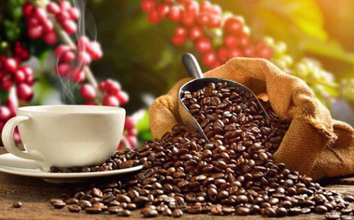 Aumentan exportaciones vietnamitas de café a Japón - ảnh 1