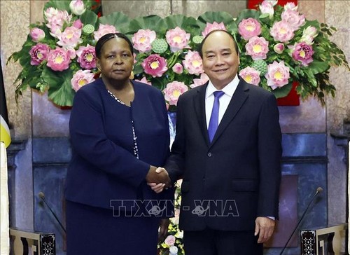 Líder vietnamita ratifica el interés de Hanói de estrechar lazos con Mozambique - ảnh 1