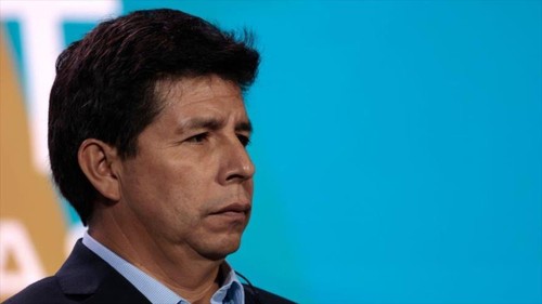 Presidente Pedro Castillo presenta su renuncia al partido Perú Libre - ảnh 1