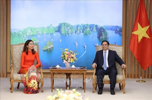 Premier vietnamita recibe a la nueva coordinadora residente de la ONU - ảnh 1