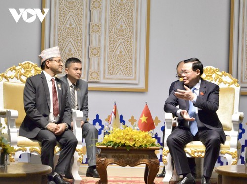 Vietnam fortalece la cooperación bilateral con Rusia, Ucrania y Nepal - ảnh 3
