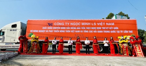Por llegar a China primer lote de durián vietnamita vendido por vía oficial - ảnh 1