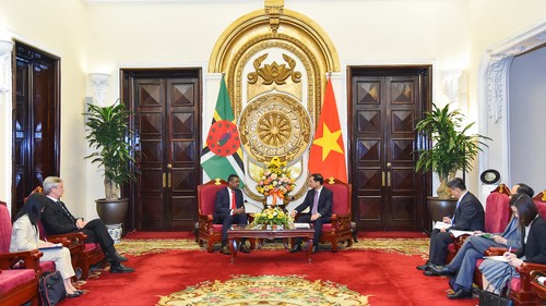 Ministros de Vietnam y Dominica dialogan sobre relaciones bilaterales - ảnh 1