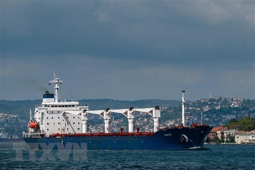 ONU manifiesta preocupaciones en torno al despliegue de la Iniciativa de Granos del Mar Negro - ảnh 1