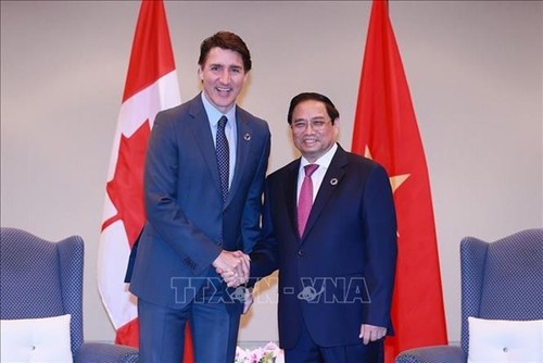 Primer ministro vietnamita dialoga con líderes de Canadá, India y las Comoras - ảnh 1