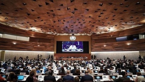 Comienza 76ª Reunión de la Asamblea Mundial de la Salud - ảnh 1