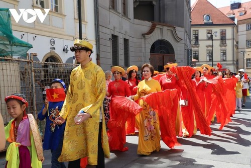 Vibrantes colores de Vietnam en Festival de Minorías Étnicas en República Checa - ảnh 1