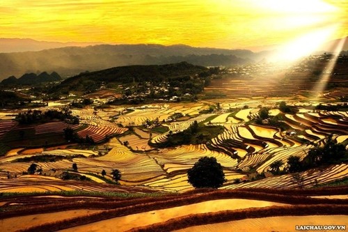 Magníficos campos de arroz en terrazas durante la temporada de crecidas - ảnh 10