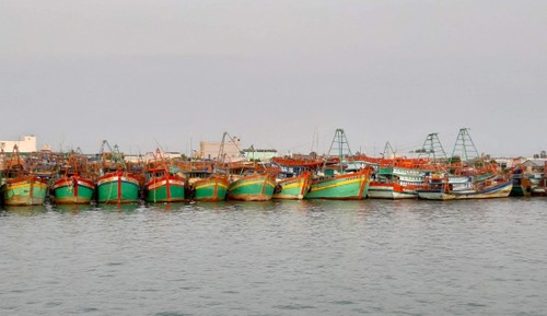 Vietnam impone sanciones drásticas contra pesca ilegal - ảnh 1