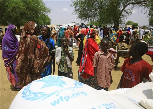 ONU recorta ayuda alimentaria a casi 40 países por crisis de financiamiento - ảnh 1