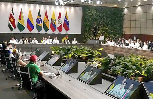 Cumbre amazónica concluye en Brasil con llamado a proteger selvas - ảnh 1