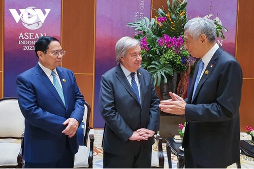 Primer Ministro se reúne con líderes de países y con el jefe de la ONU - ảnh 3