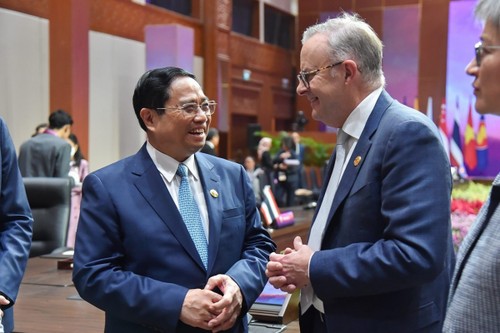 Jefe de Gobierno vietnamita dialogan con altos funcionarios de Rusia y Australia - ảnh 2