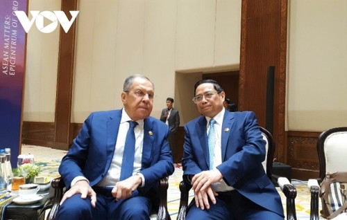 Jefe de Gobierno vietnamita dialogan con altos funcionarios de Rusia y Australia - ảnh 1