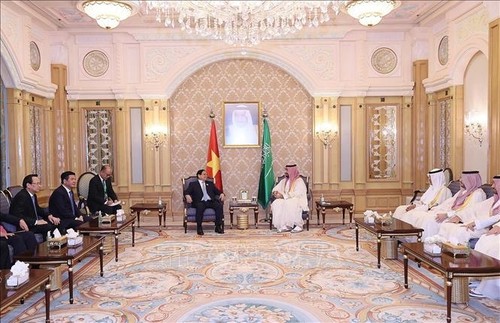 Primer ministro vietnamita concluye su agenda en Arabia Saudita - ảnh 1