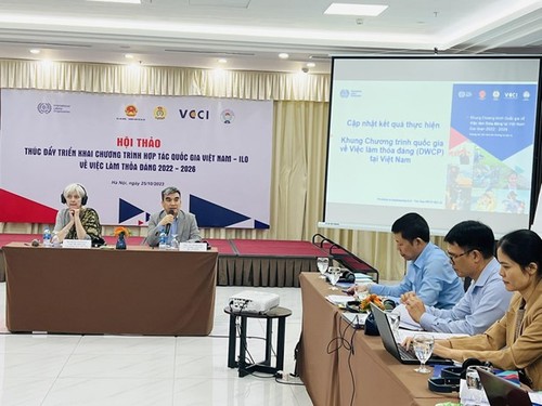 Promueven Programa de Cooperación Nacional entre Vietnam y la OIT sobre trabajo decente - ảnh 1