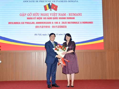 Vietnam y Rumania fortalecen la amistad y cooperación integral - ảnh 1