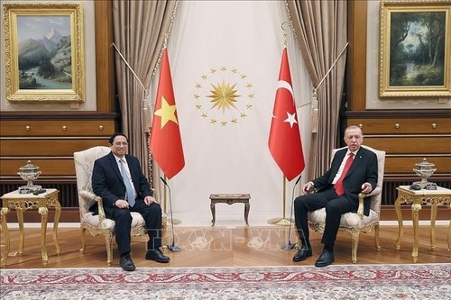 Vietnam y Turquía emiten Declaración Conjunta  - ảnh 1