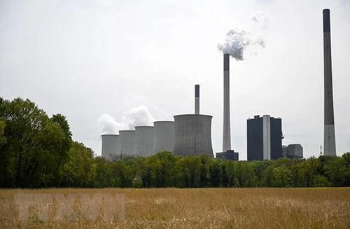 COP28: Llaman a consenso mundial sobre eliminación de combustibles fósiles - ảnh 1