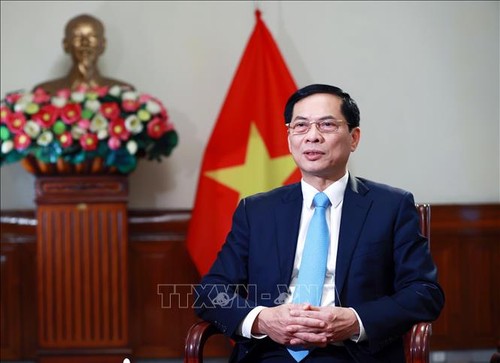 Canciller: la diplomacia aporta a los logros generales de Vietnam - ảnh 1