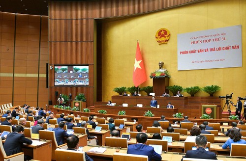 Sector diplomático continúa contribuyendo al desarrollo socioeconómico de Vietnam, afirma canciller - ảnh 1