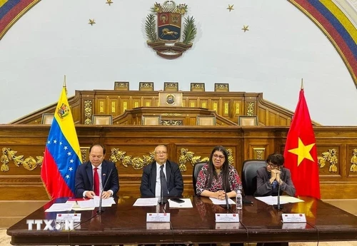 Ciudad Ho Chi Minh busca promover cooperación con Venezuela - ảnh 2