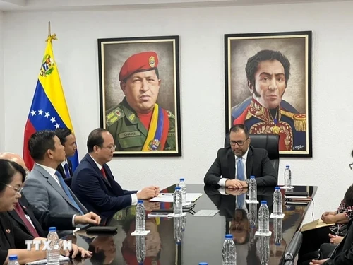 Ciudad Ho Chi Minh busca promover cooperación con Venezuela - ảnh 1