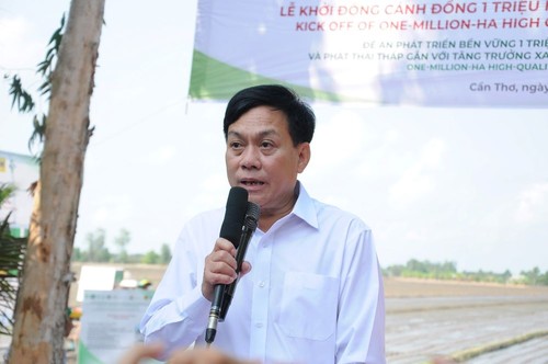 Despliegan proyecto “Un millón de hectáreas de cultivo de arroz de alta calidad y bajas emisiones” - ảnh 1
