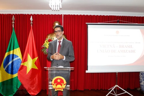 Vicecanciller brasileño: Vietnam es un importante socio de Brasil en Sudeste de Asia - ảnh 1