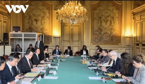 Celebran VIII Reunión del Diálogo de Alto Nivel sobre Economía Vietnam-Francia - ảnh 2