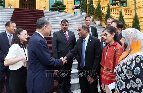 Presidente de Vietnam se reúne con representantes diplomáticos de Timor Leste y ASEAN - ảnh 1