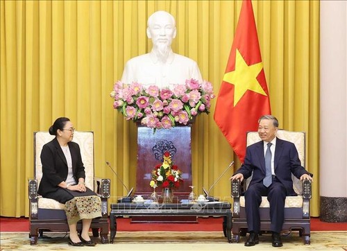 Presidente de Vietnam se reúne con representantes diplomáticos de Timor Leste y ASEAN - ảnh 2
