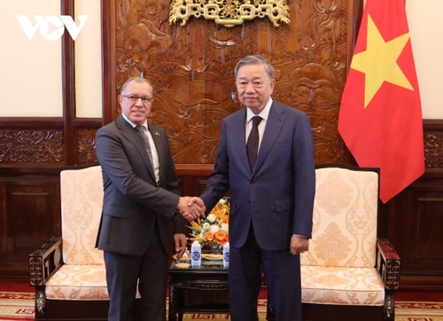 Presidente vietnamita recibe a embajadores salientes de Colombia y Panamá - ảnh 1