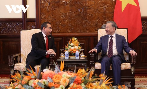 Presidente vietnamita recibe a embajadores salientes de Colombia y Panamá - ảnh 2