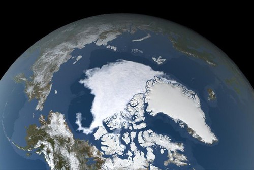 L’Arctique a connu l’une de ses années les plus chaudes - ảnh 1