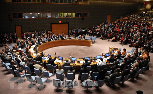 Conseil de sécurité de l’ONU : nomination de cinq nouveaux membres non-permanents - ảnh 1