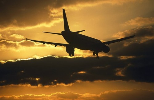 Transport aérien: “Le plus gros choc que le secteur ait jamais vécu” - IATA - ảnh 1