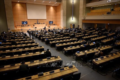 L’ONU salue la décision des États-Unis de se réengager au sein du Conseil des droits de l’homme - ảnh 1