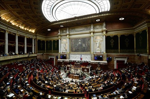 France: Le projet de loi contre le séparatisme adopté en première lecture - ảnh 1