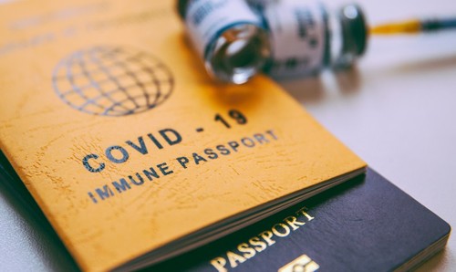 L’Europe avance vers la mise en œuvre du passeport vaccinal cet été - ảnh 1