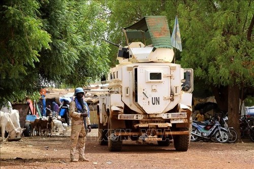 Mali: Trois Casques bleus grièvement blessés dans une attaque - ảnh 1